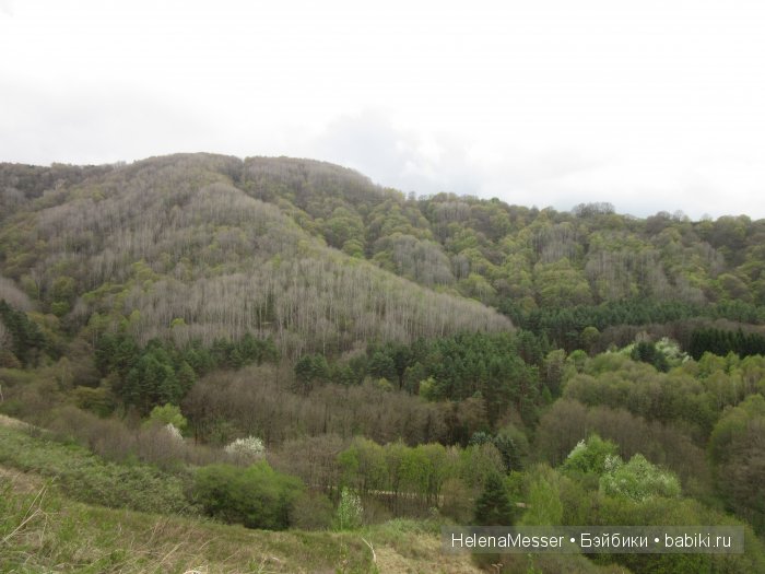 Путешествие по Кисловодску