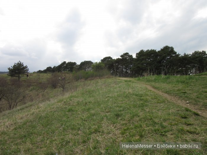 Путешествие по Кисловодску (фото 6)