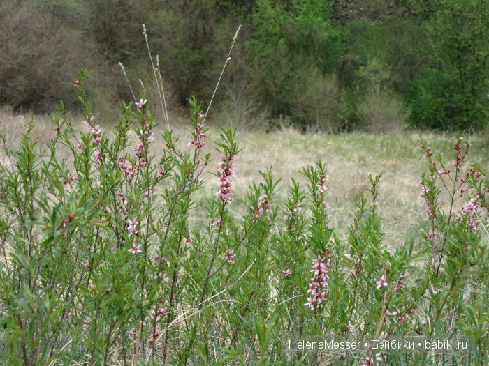 Путешествие по Кисловодску