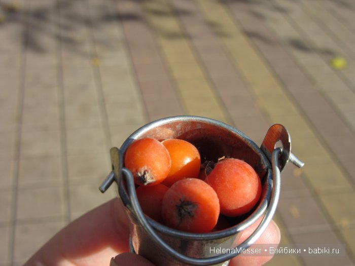 Золото осени — Фэшн