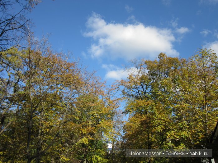 Золото осени — Фэшн