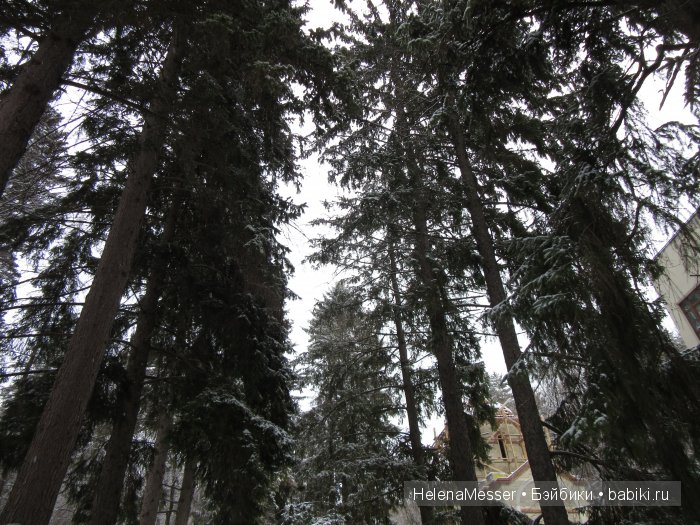 "Хроники Нарнии"? Нет, Кисловодск