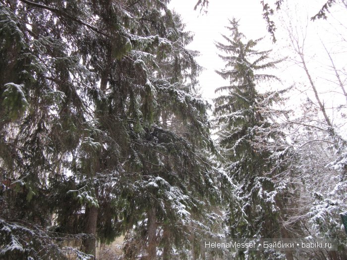 "Хроники Нарнии"? Нет, Кисловодск