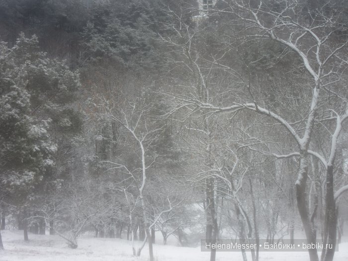 "Хроники Нарнии"? Нет, Кисловодск