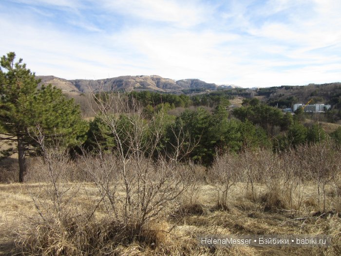 "Хроники Нарнии"? Нет, Кисловодск