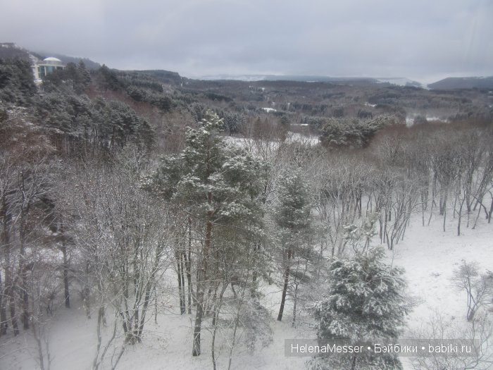 "Хроники Нарнии"? Нет, Кисловодск