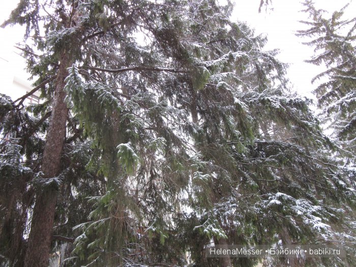 "Хроники Нарнии"? Нет, Кисловодск
