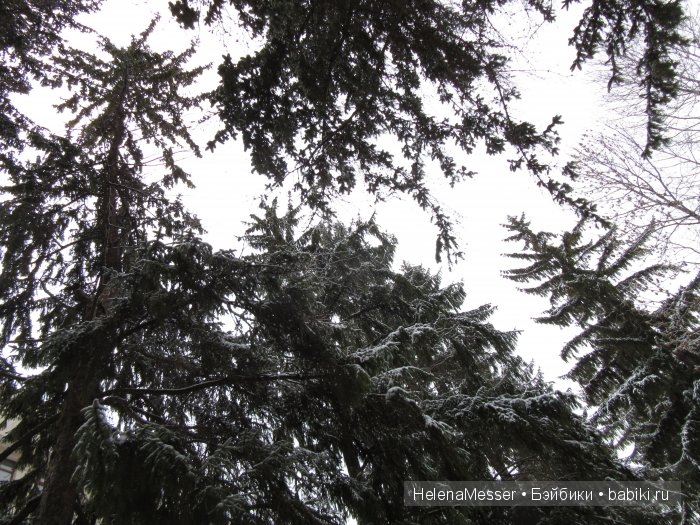 "Хроники Нарнии"? Нет, Кисловодск