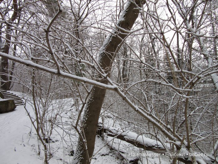 "Хроники Нарнии"? Нет, Кисловодск