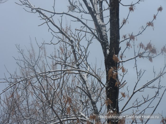 "Хроники Нарнии"? Нет, Кисловодск