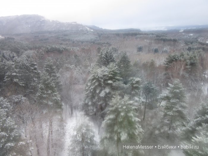 "Хроники Нарнии"? Нет, Кисловодск