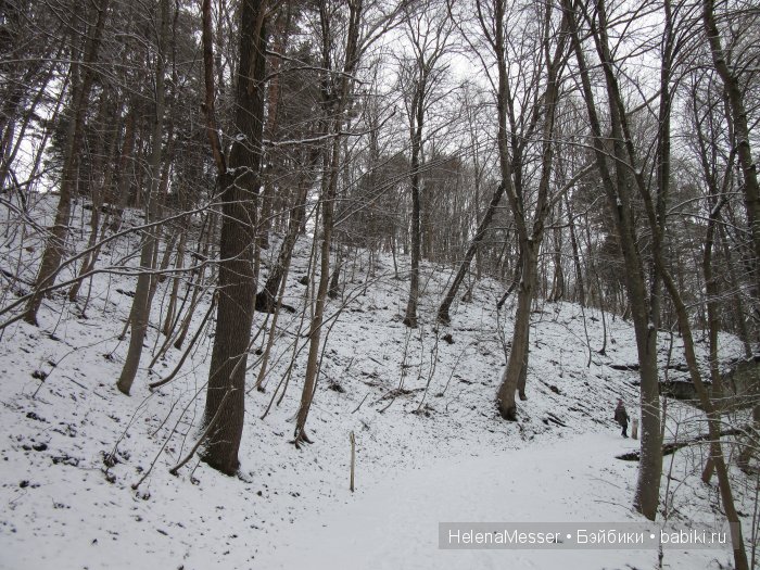 "Хроники Нарнии"? Нет, Кисловодск