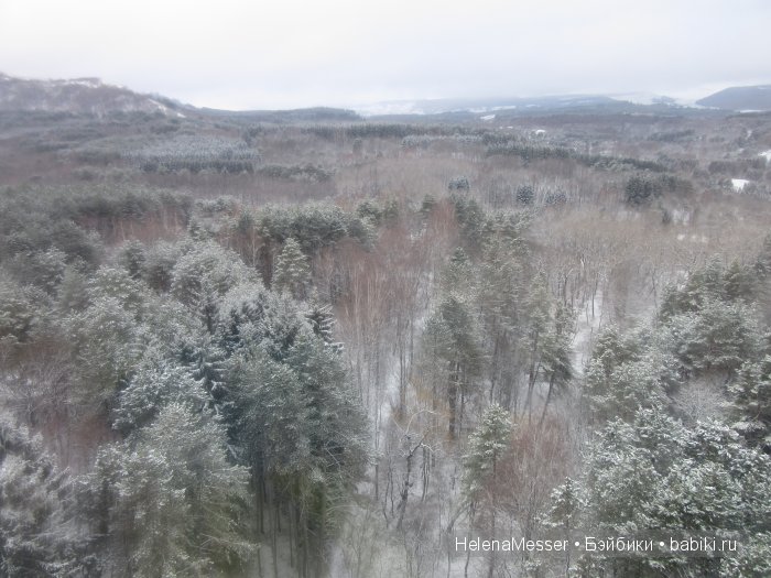 "Хроники Нарнии"? Нет, Кисловодск