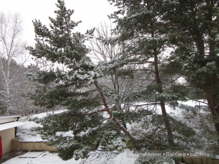 "Хроники Нарнии"? Нет, Кисловодск
