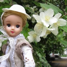 Утренний летний дождь