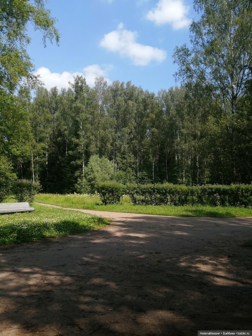 Котятки Моррисы на прогулке в Павловске | Бэйбики Котятки Моррисы на прогулке в Павловске (фото 8)