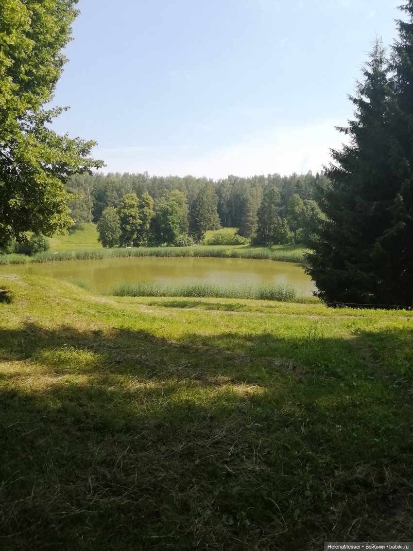 Котятки Моррисы на прогулке в Павловске | Бэйбики Котятки Моррисы на прогулке в Павловске