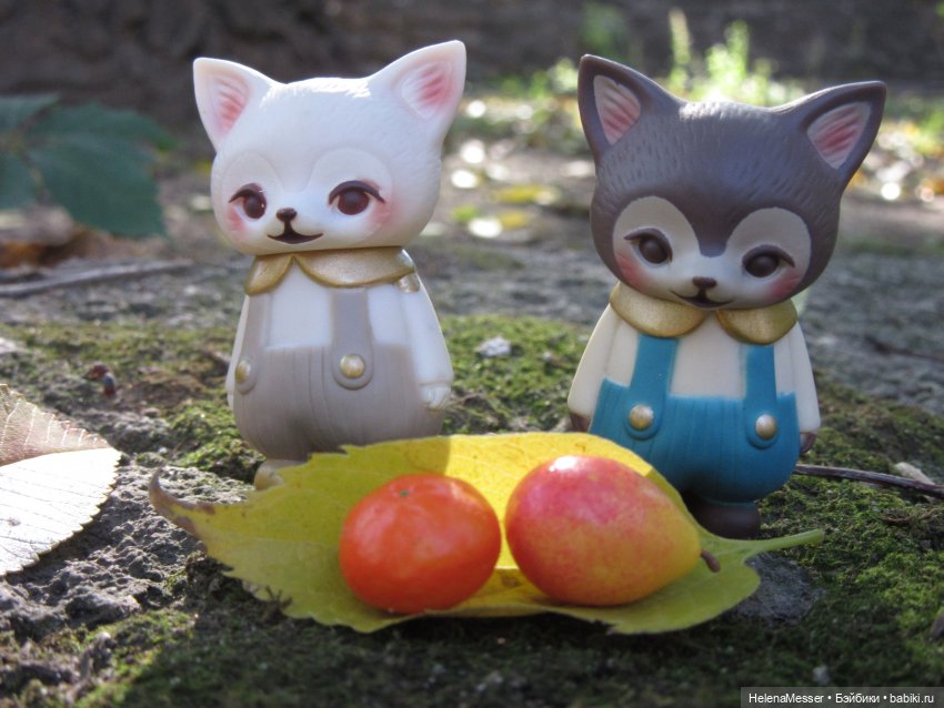 Как поймать Морриса: советы Хелены