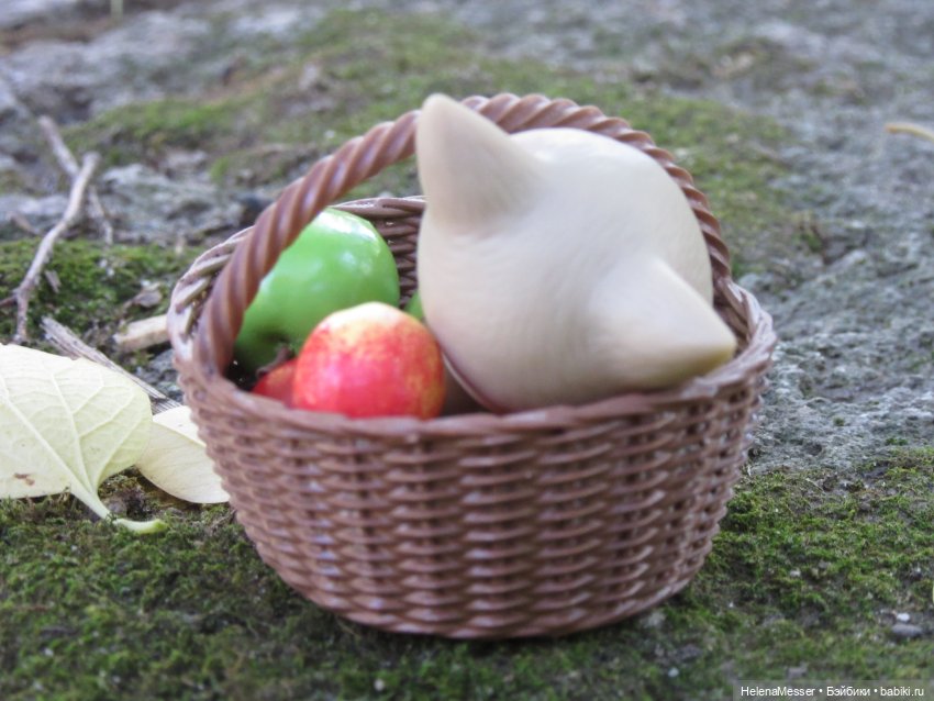 Как поймать Морриса: советы Хелены