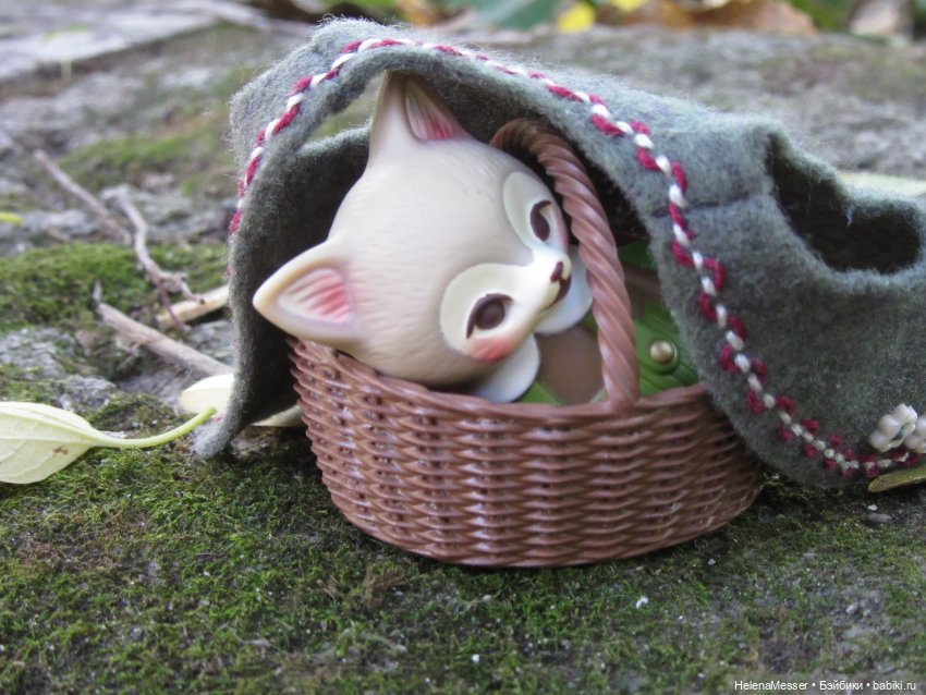 Как поймать Морриса: советы Хелены