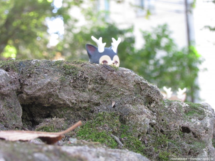 Как поймать Морриса: советы Хелены