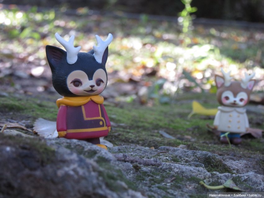 Как поймать Морриса: советы Хелены