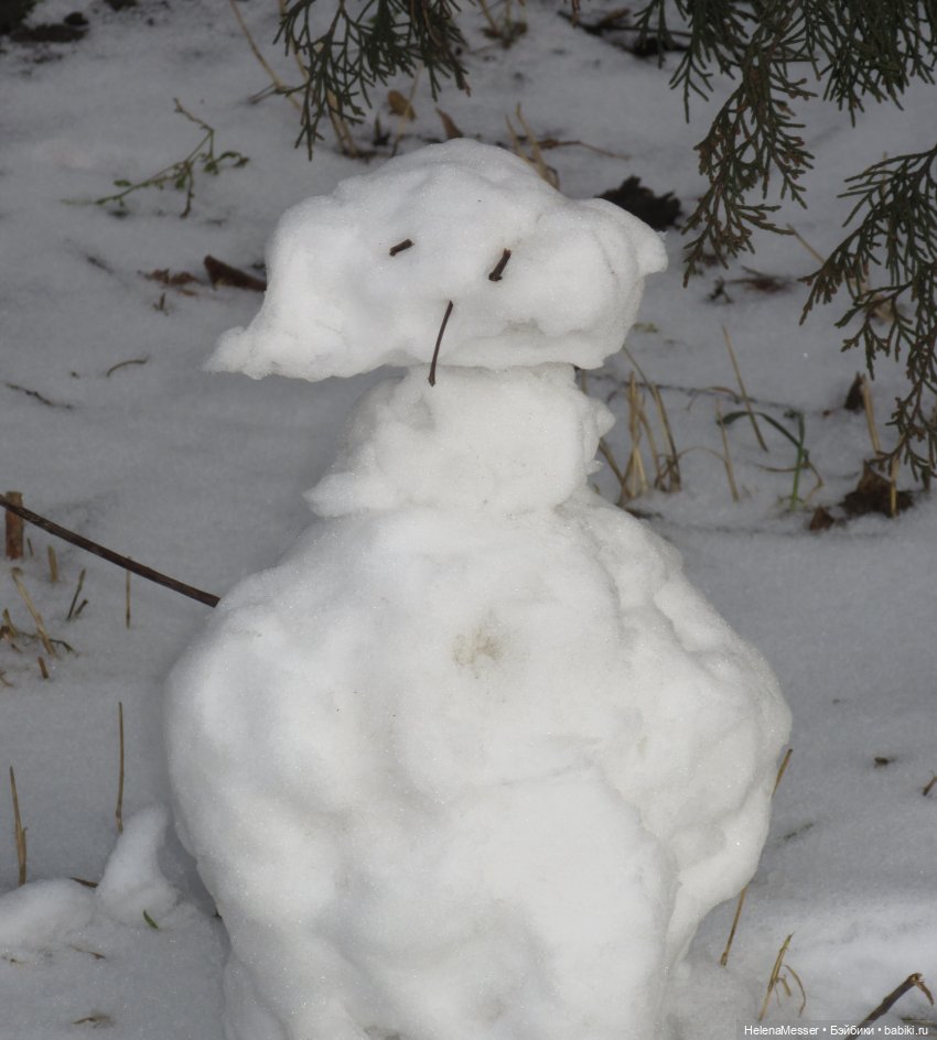 Камо грядеши, маленький Моррис