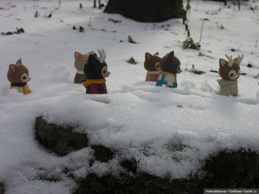 Камо грядеши, маленький Моррис