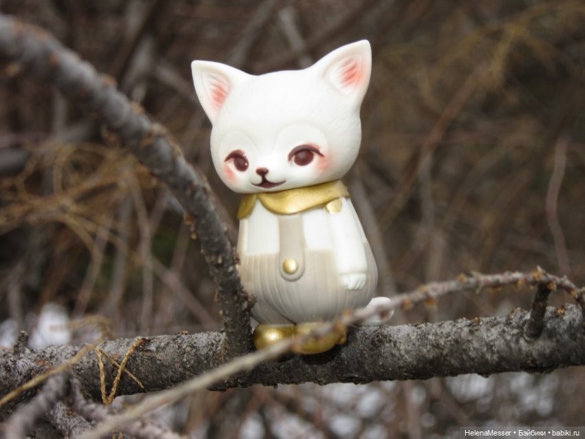 Камо грядеши, маленький Моррис (фото 7)