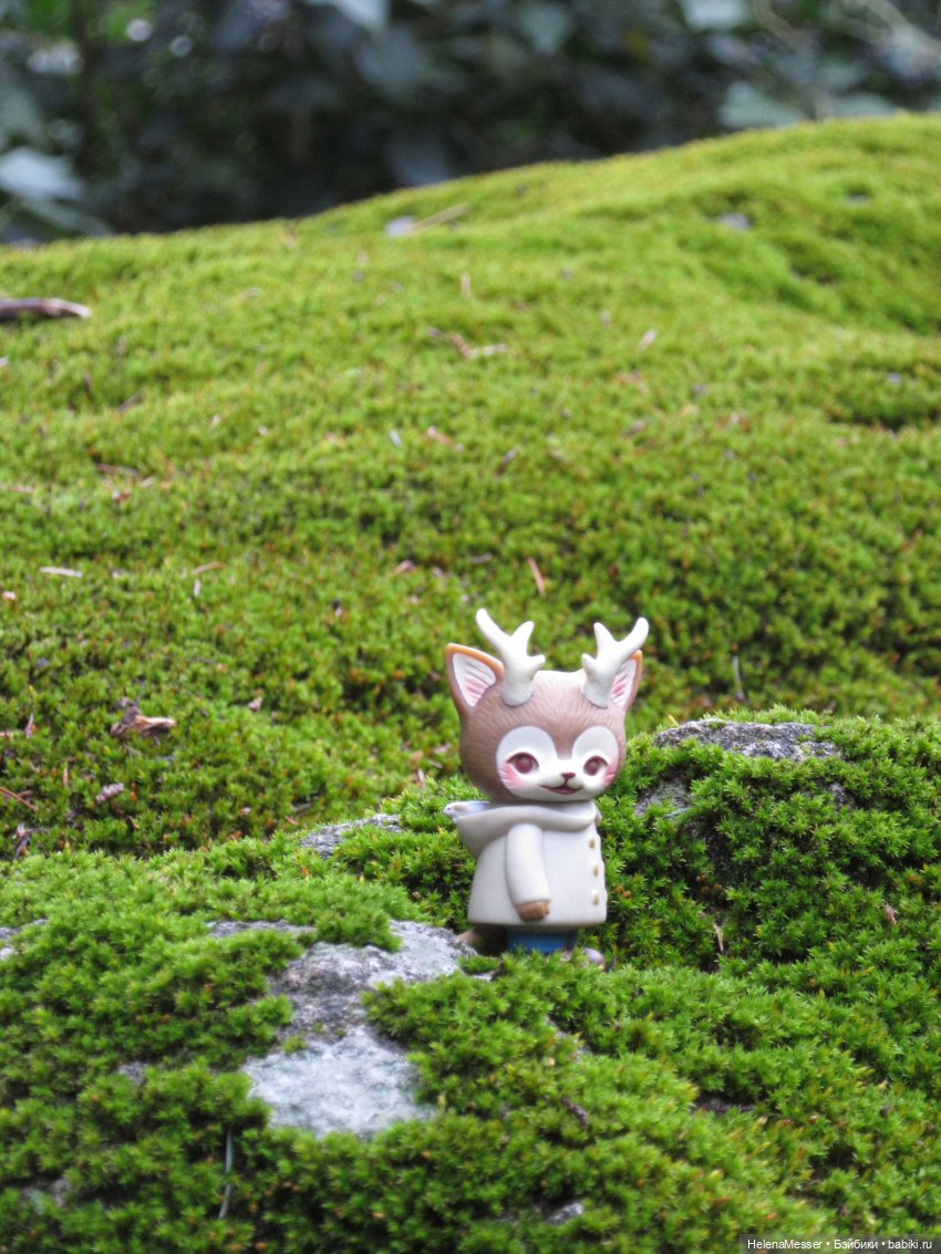 Крымские каникулы, часть 4. Хаосы