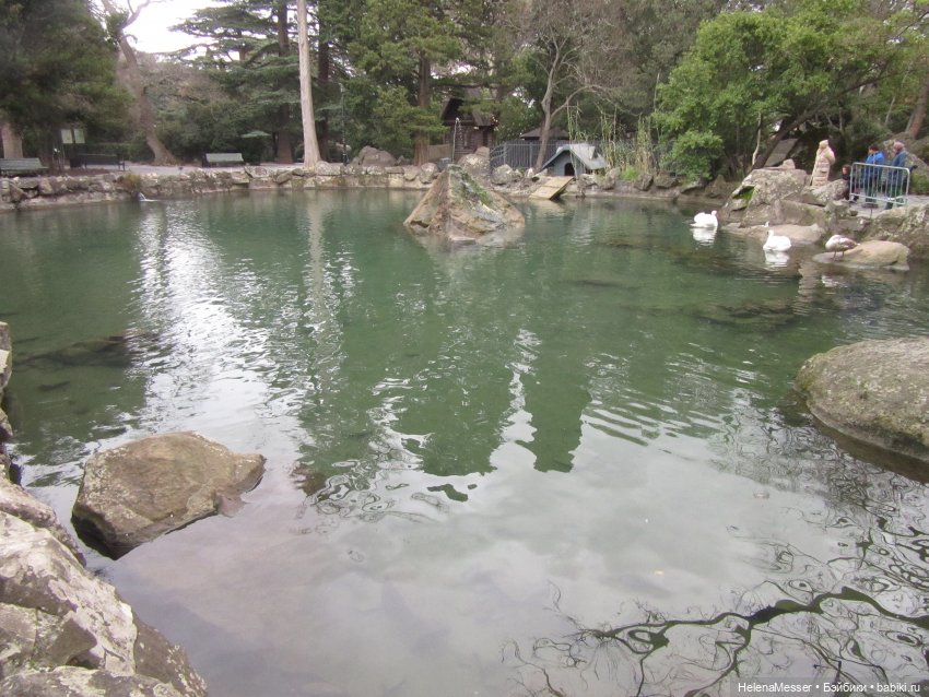 Крымские каникулы, часть 4. Хаосы