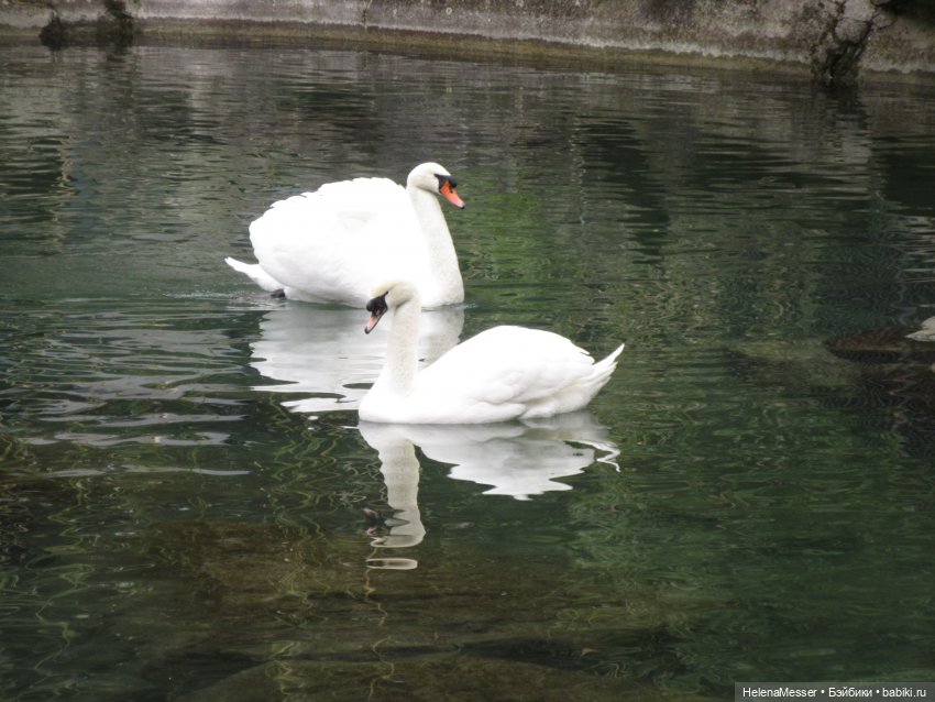 Крымские каникулы, часть 4. Хаосы