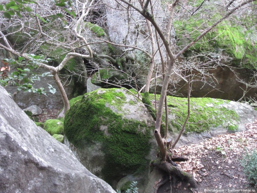 Крымские каникулы, часть 4. Хаосы (фото 2)