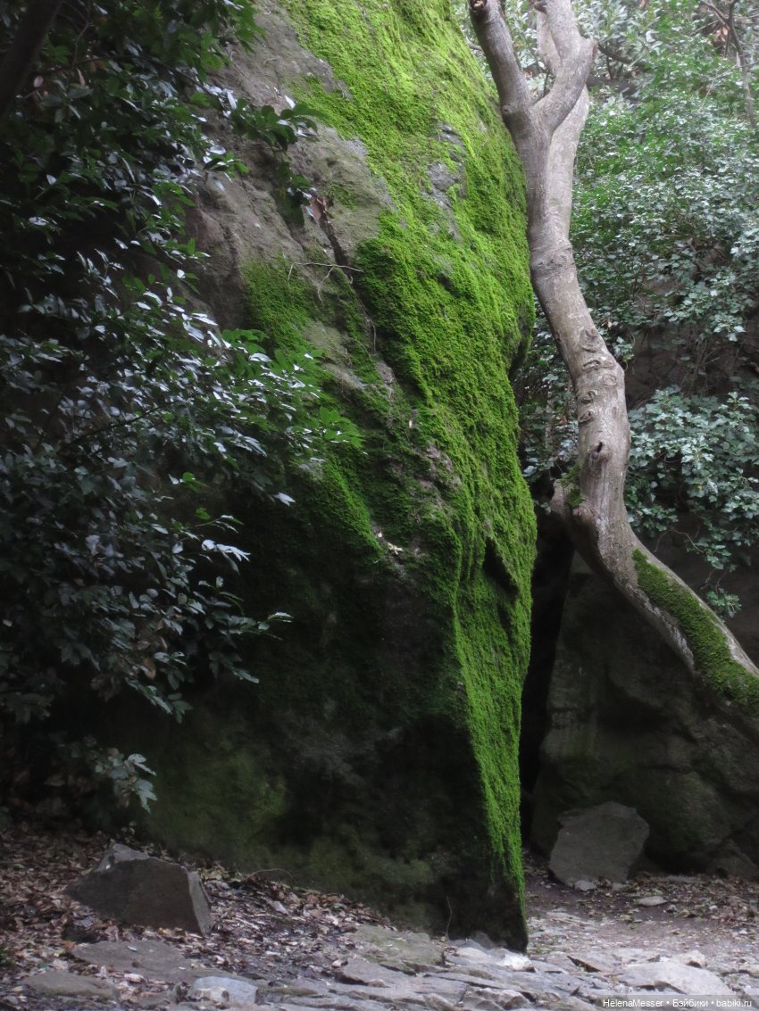 Крымские каникулы, часть 4. Хаосы