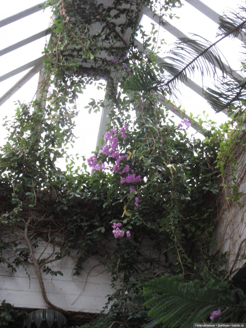 Крымские каникулы, часть 3. Воронцовский дворец