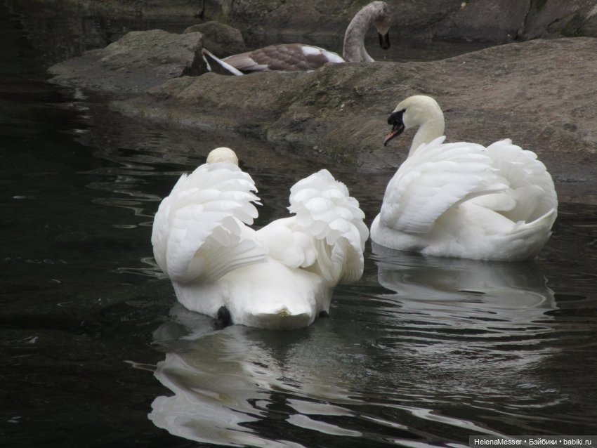 Крымские каникулы, часть 4. Хаосы