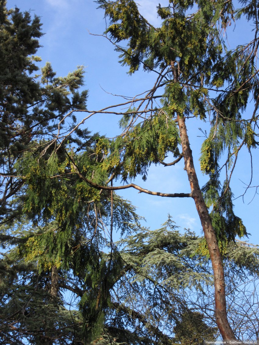 Крымские каникулы, часть 1. Вечерняя Ялта