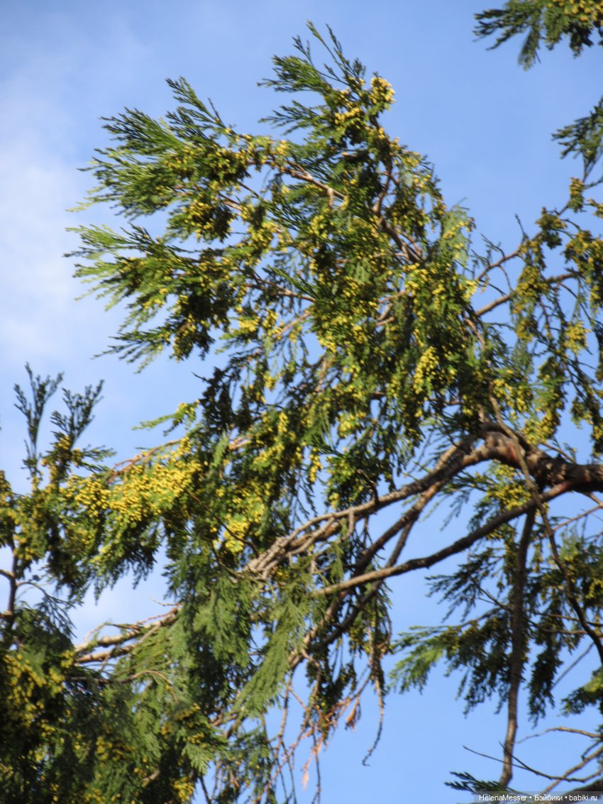 Крымские каникулы, часть 1. Вечерняя Ялта