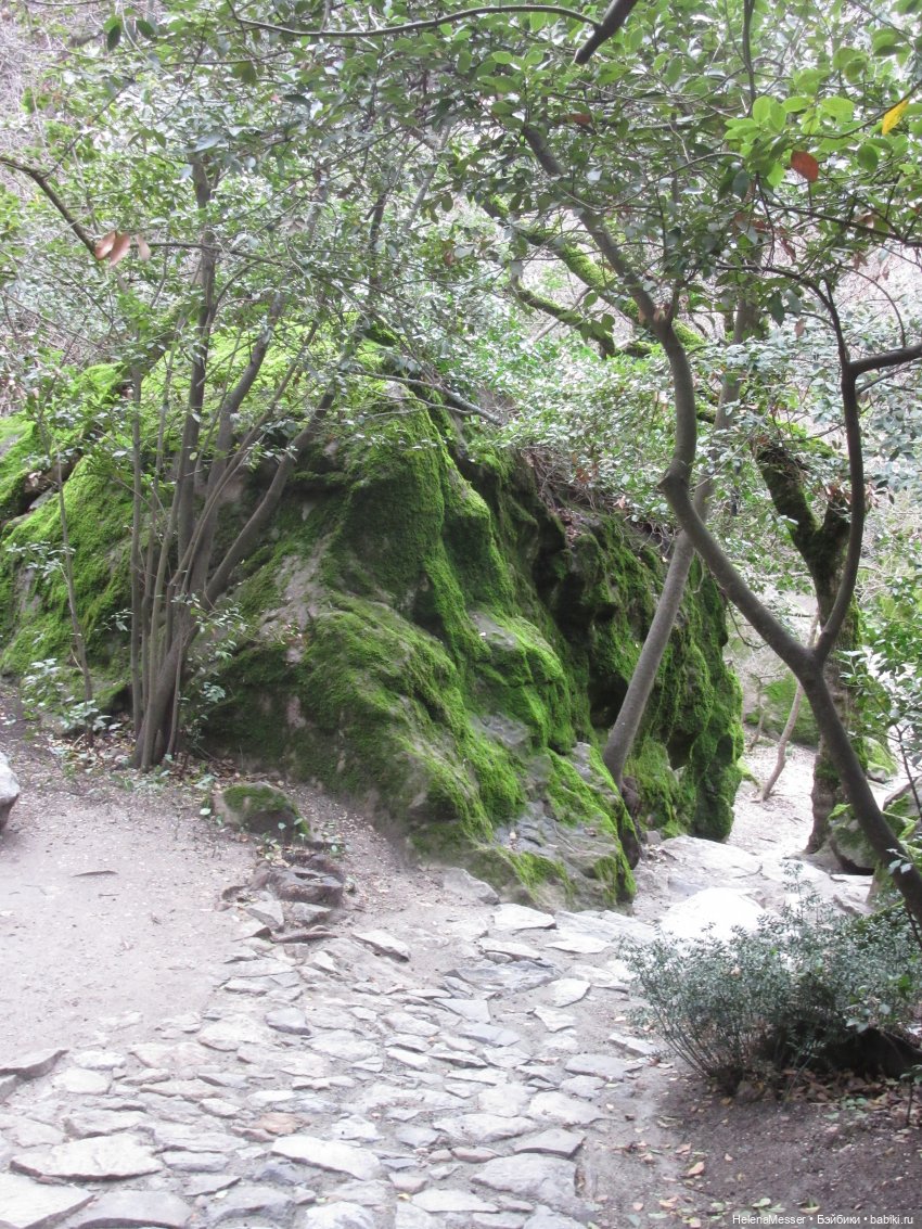 Крымские каникулы, часть 4. Хаосы (фото 9)