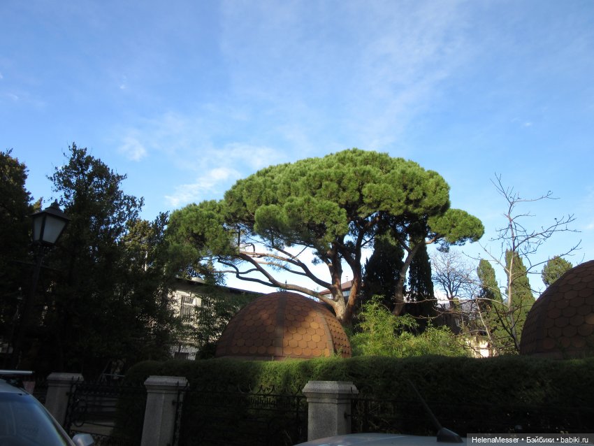 Крымские каникулы, часть 1. Вечерняя Ялта