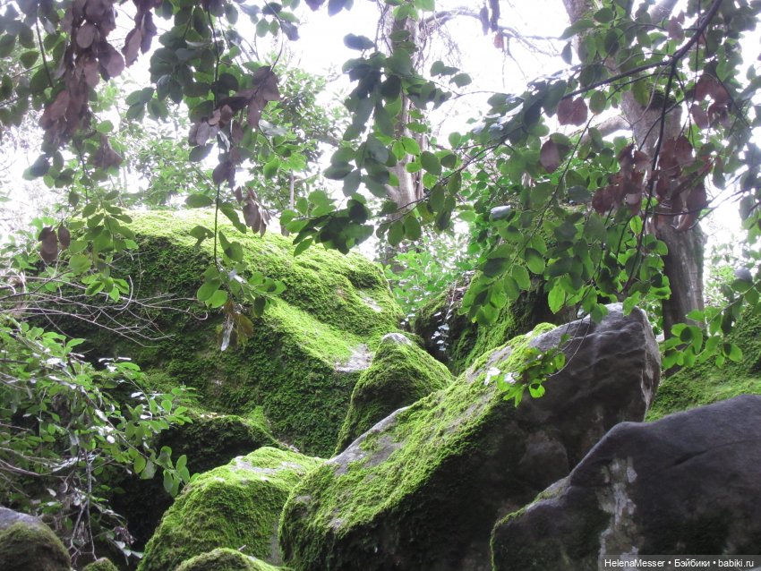 Крымские каникулы, часть 4. Хаосы (фото 10)