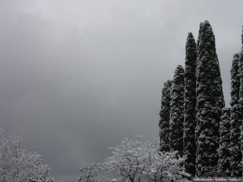 Крымские каникулы, часть 5. Снег в Воронцовском парке