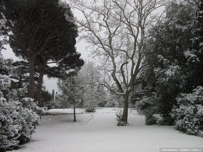 Крымские каникулы, часть 5. Снег в Воронцовском парке (фото 5)