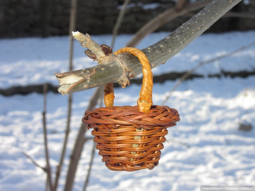 Если очень хочется подснежников, или Как Моррисы подружились с людьми (фото 8)