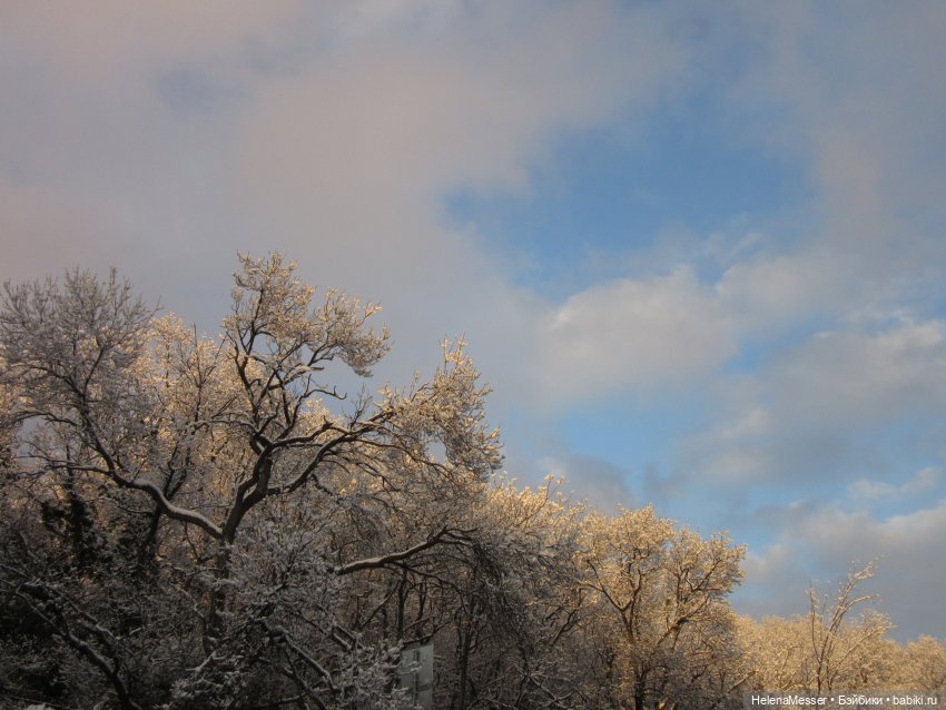 Крымские каникулы, часть 5. Снег в Воронцовском парке