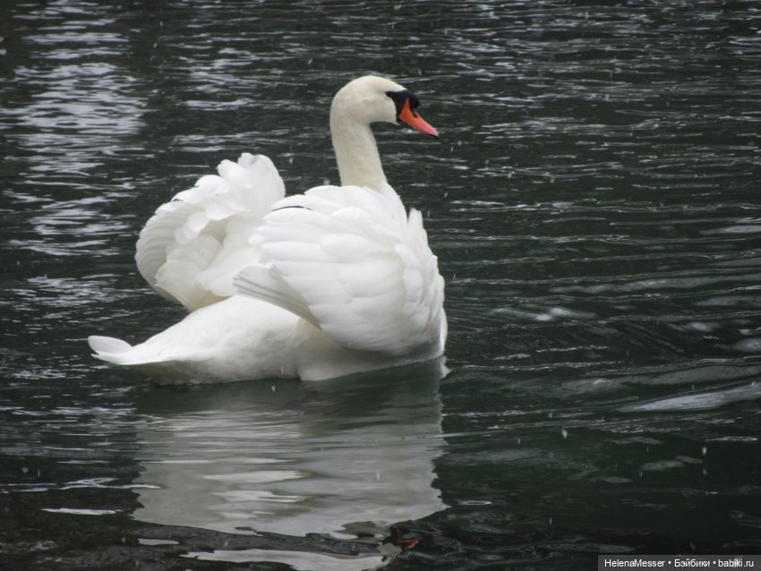 Крымские каникулы, часть 5. Снег в Воронцовском парке