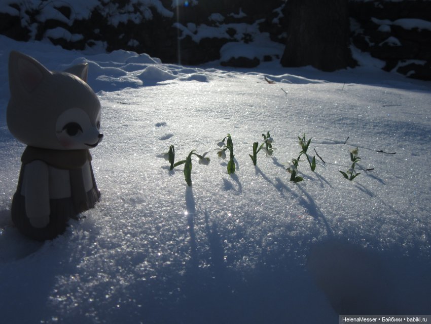 Если очень хочется подснежников, или Как Моррисы подружились с людьми