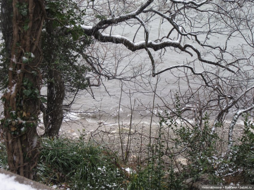 Крымские каникулы, часть 5. Снег в Воронцовском парке