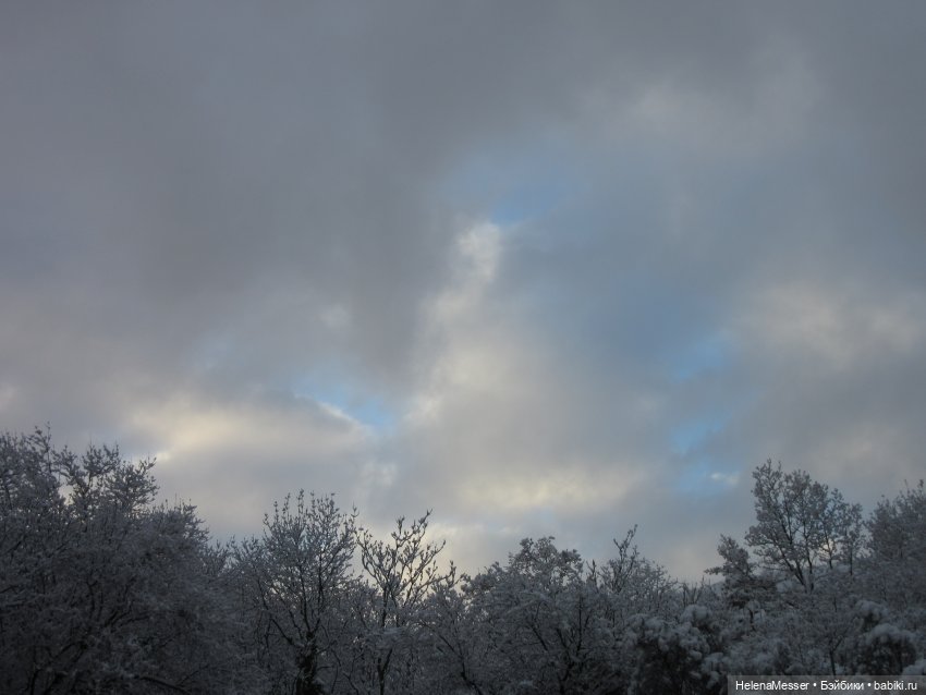 Крымские каникулы, часть 5. Снег в Воронцовском парке