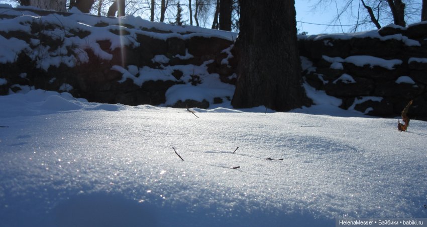Если очень хочется подснежников, или Как Моррисы подружились с людьми (фото 9)